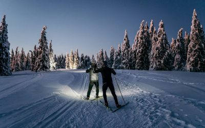 SKIALP